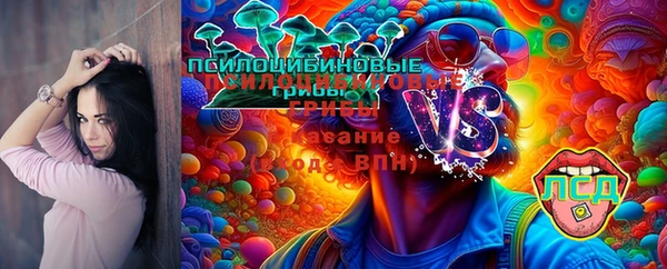 дживик Пересвет