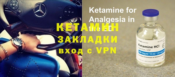 дживик Пересвет