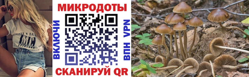 где найти наркотики  МЕГА онион  Псилоцибиновые грибы ЛСД  Екатеринбург 