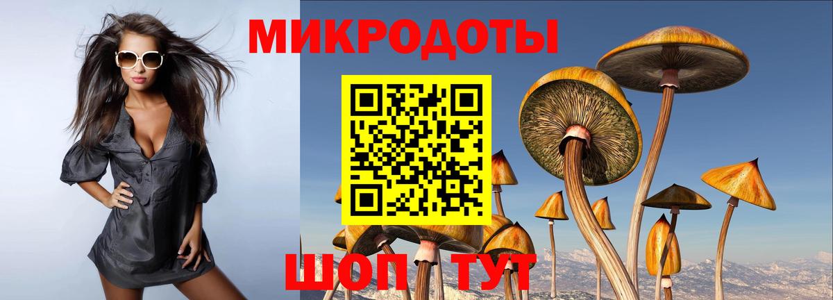 Псилоцибиновые грибы Psilocybe Екатеринбург